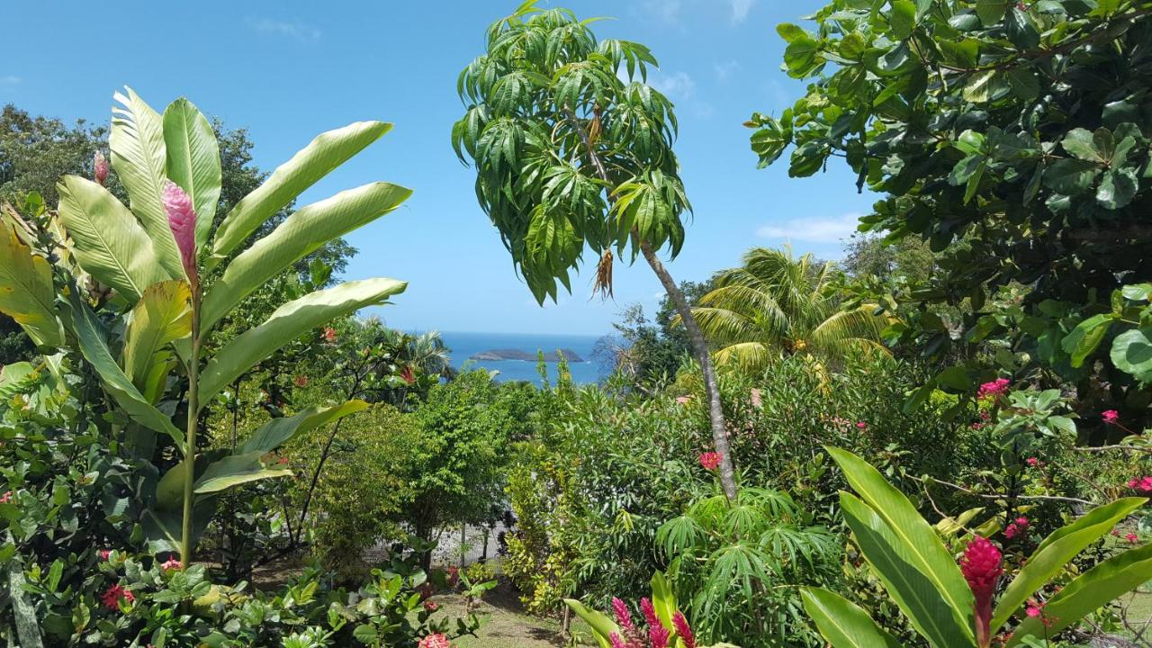 Vacances Bien Etre Guadeloupe Буйянт Екстериор снимка