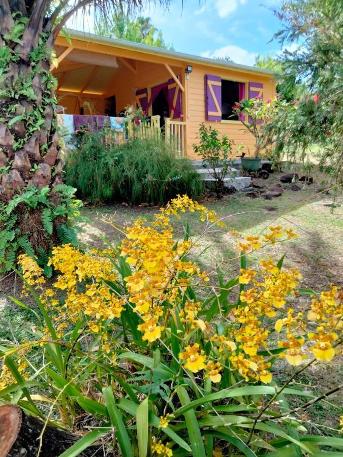 Vacances Bien Etre Guadeloupe Буйянт Екстериор снимка