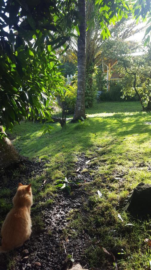 Vacances Bien Etre Guadeloupe Буйянт Екстериор снимка