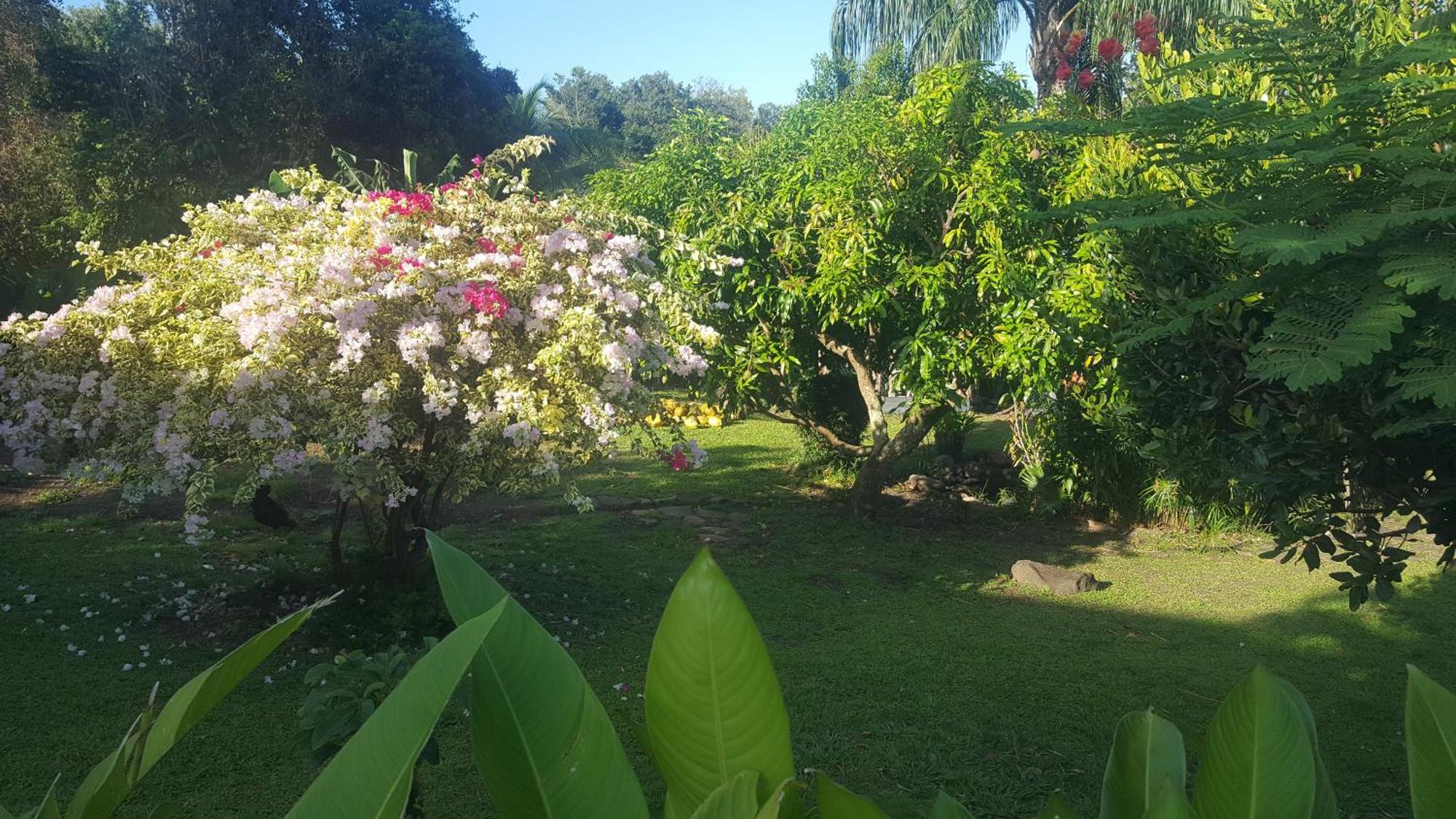 Vacances Bien Etre Guadeloupe Буйянт Екстериор снимка